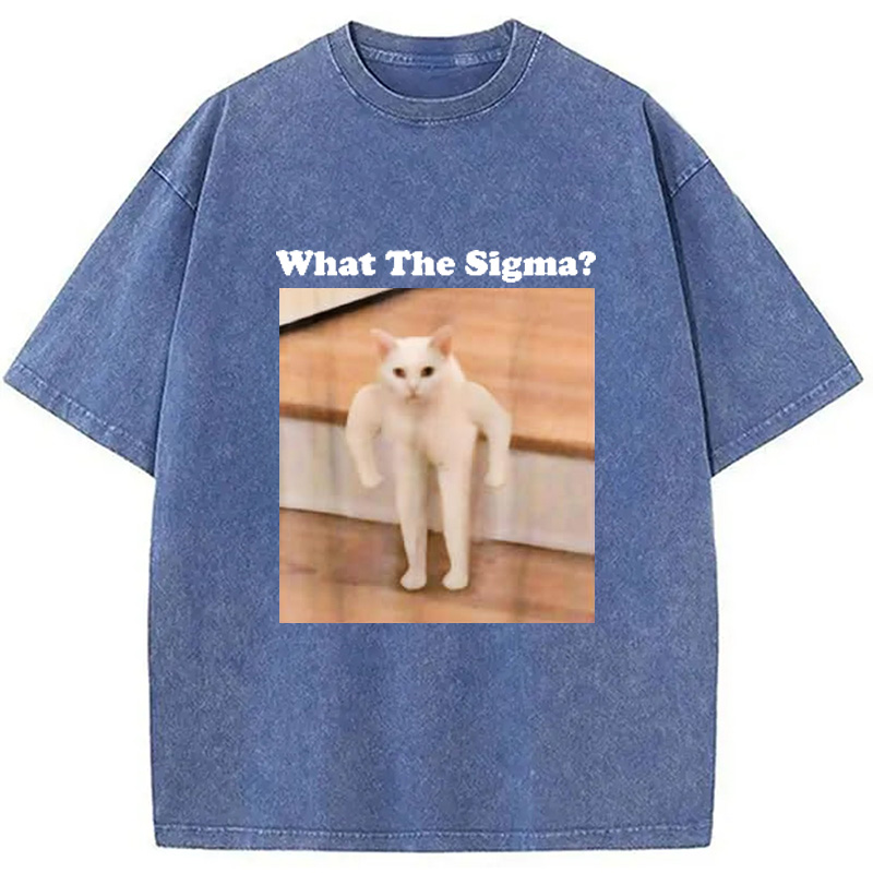 Modecanvas What Sigma Cat Meme Washed T-Shirt