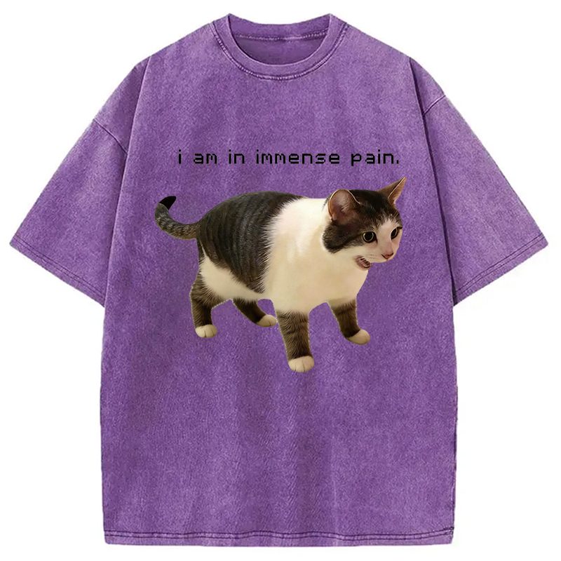 Modecanvas Screaming Cat Immense Pain DTG Printing Washed T-Shirt