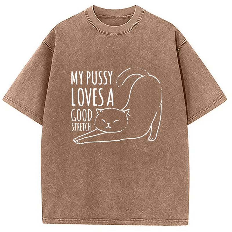 Modecanvas Funny Cat Washed T-Shirt