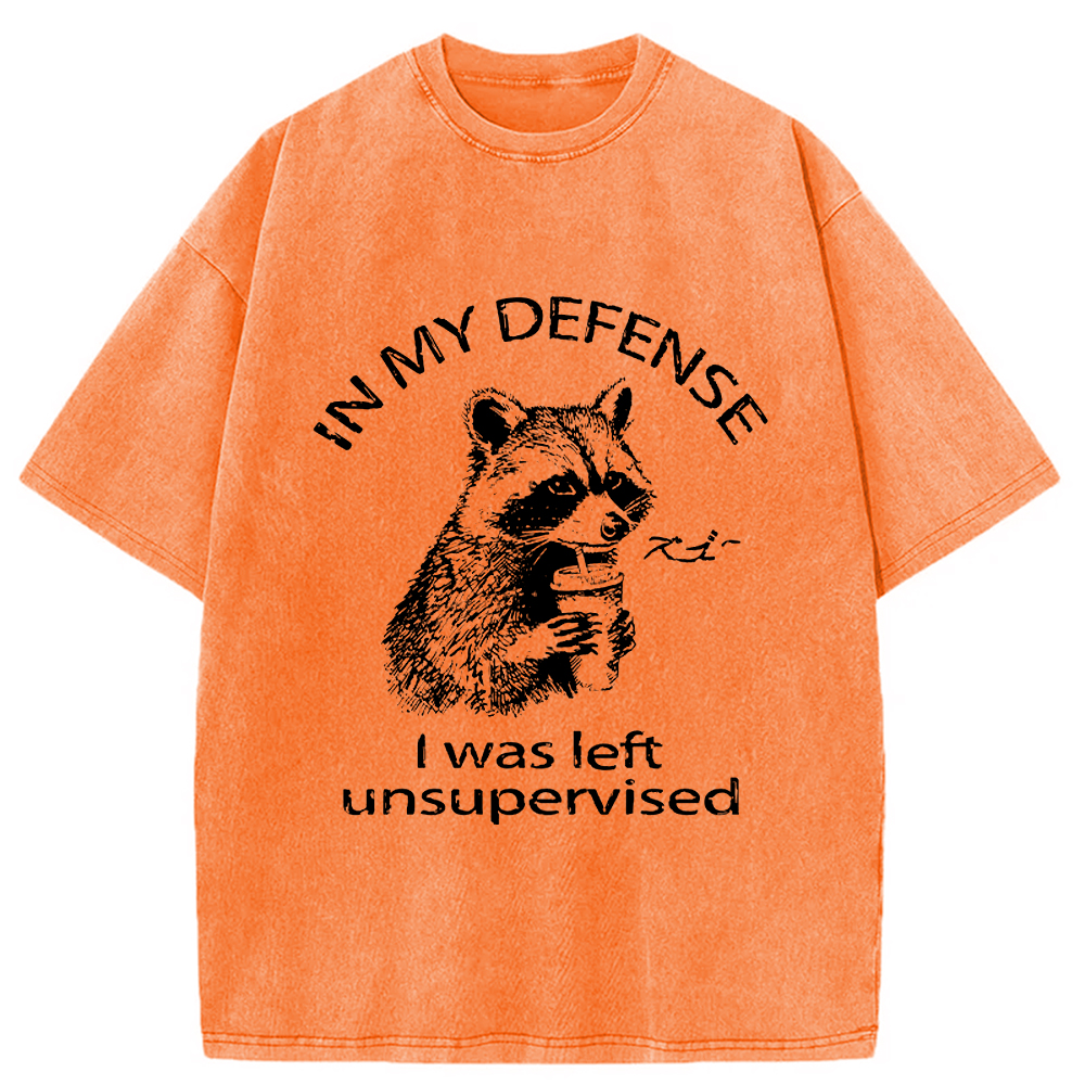 Modecanvas Left Unsupervised Raccoon Washed T-Shirt