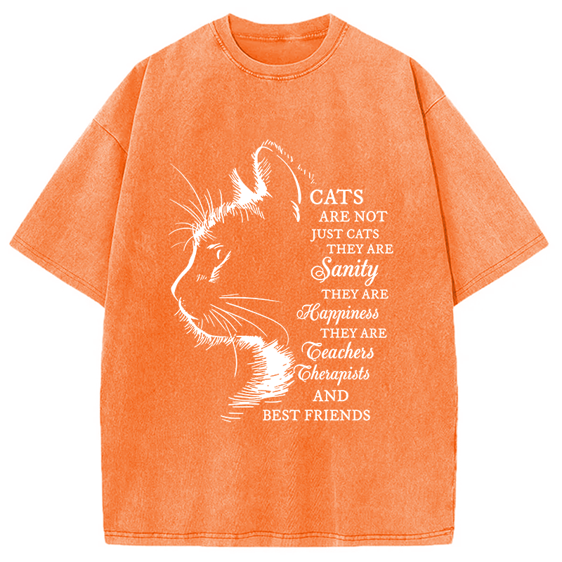 Modecanvas Cat Best Friend DTG Printing Washed T-Shirt
