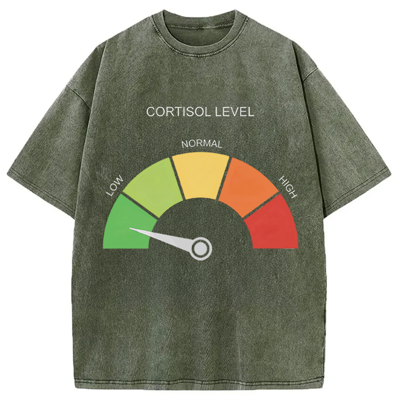 Modecanvas Cortisol Level Meme DTG Printing Washed T-Shirt
