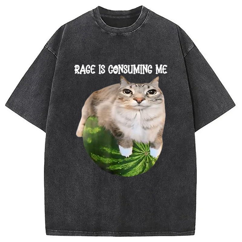 Modecanvas Rage Is Consuming Me Cat Meme Washed T-Shirt-modecanvas