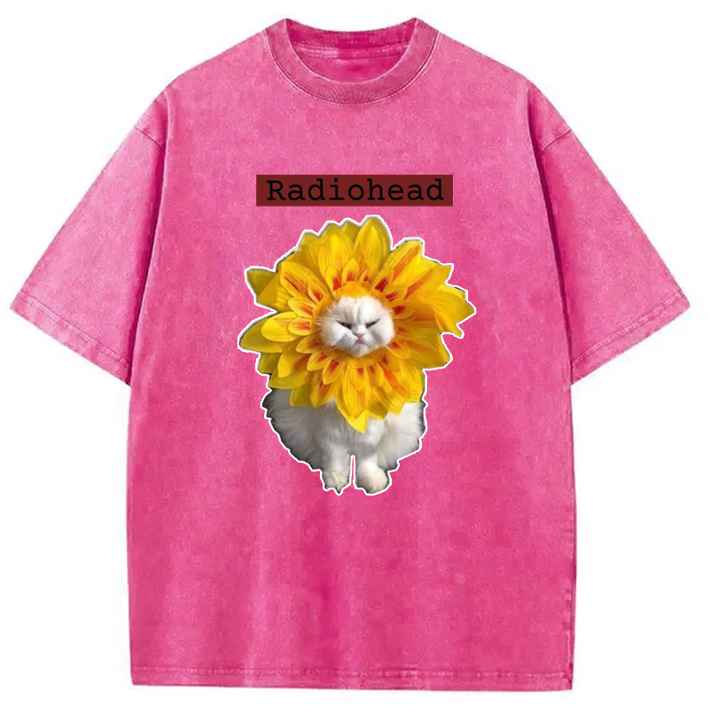 Modecanvas Radiohead Cat Washed T-Shirt