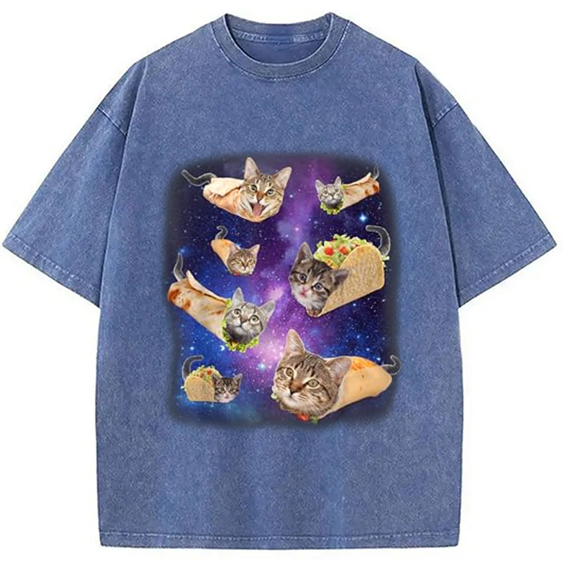 Modecanvas Burrito Cat and Taco Cat Space Galaxy Meme Washed T-Shirt