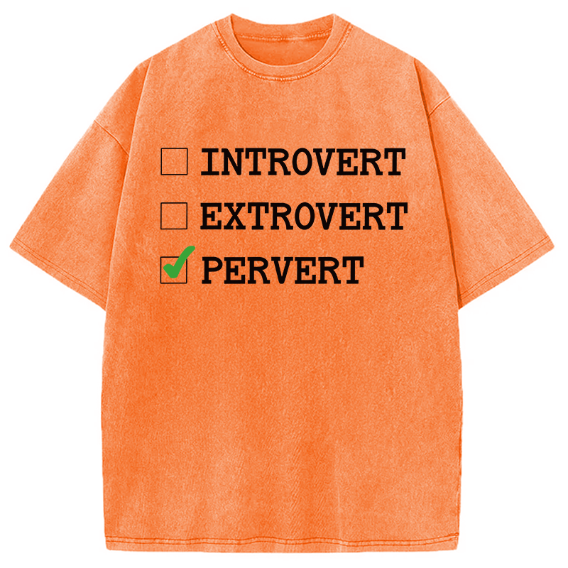 Modecanvas Introvert Extrovert Pervert DTG Printing Washed T-Shirt