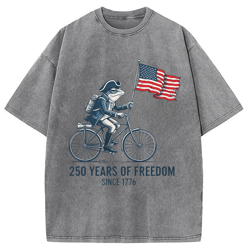Modecanvas American 250th Anniversary Funny Frog DTG Printing Washed T-Shirt