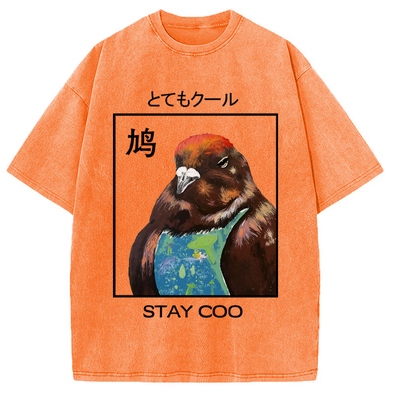 Modecanvas Stay Cool Pigeon Washed T-Shirt