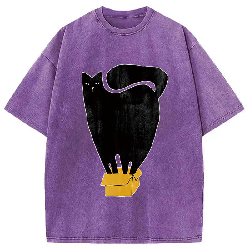 Modecanvas Cat and Box DTG Printing Washed T-Shirt