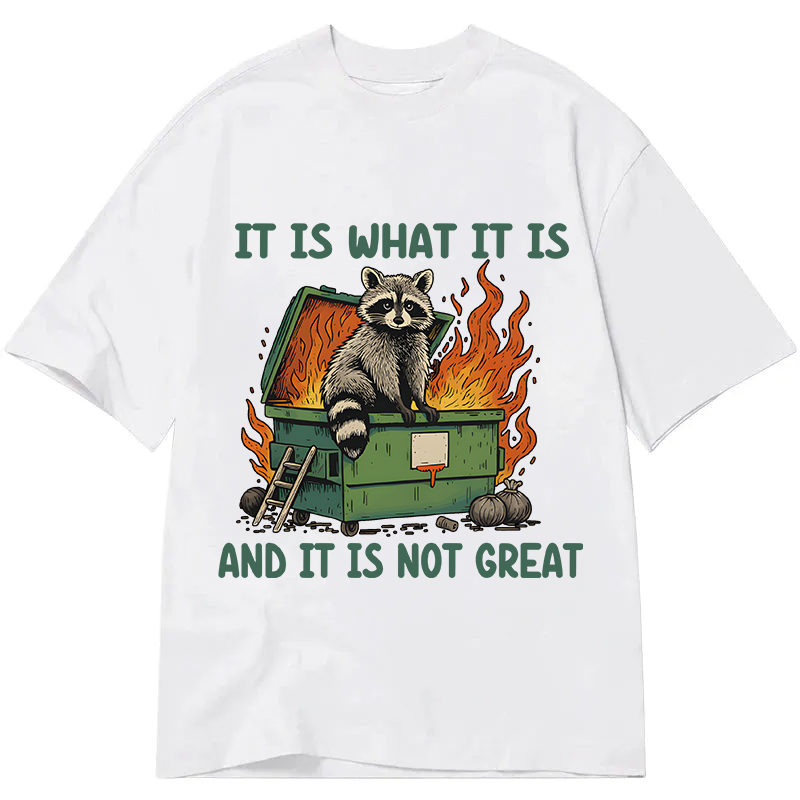 Modecanvas It Is What It Is Dumpster Fire Funny Raccoon Meme DTG Printing Classic T-Shirt-modecanvas