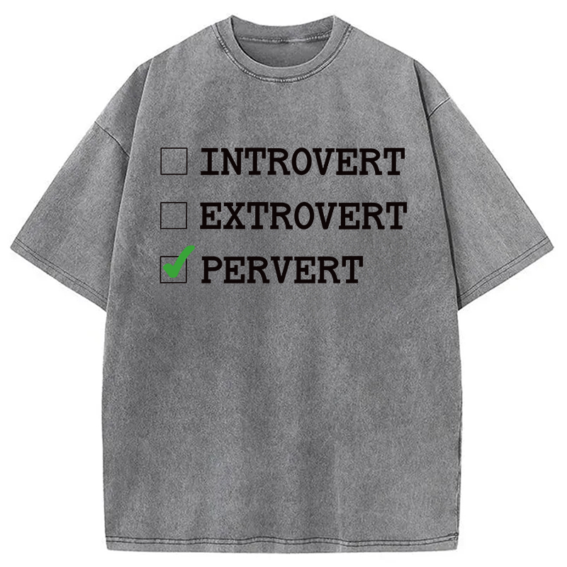 Modecanvas Introvert Extrovert Pervert DTG Printing Washed T-Shirt