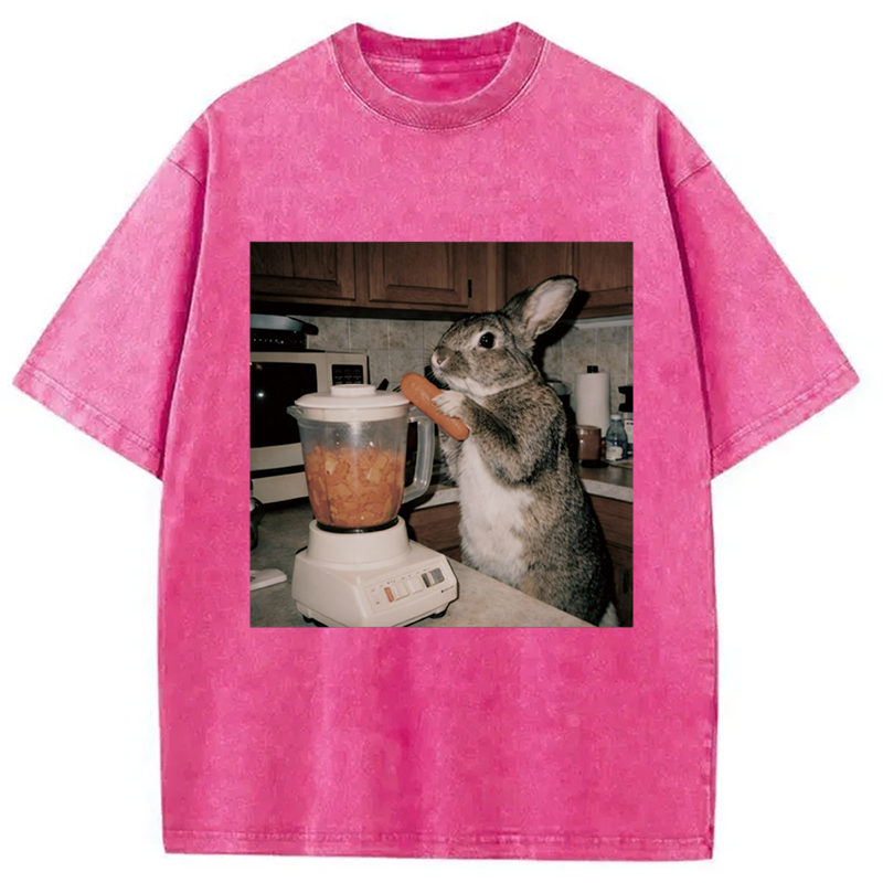 Modecanvas Rabbit Carrot Shake DTG Printing Washed T-Shirt