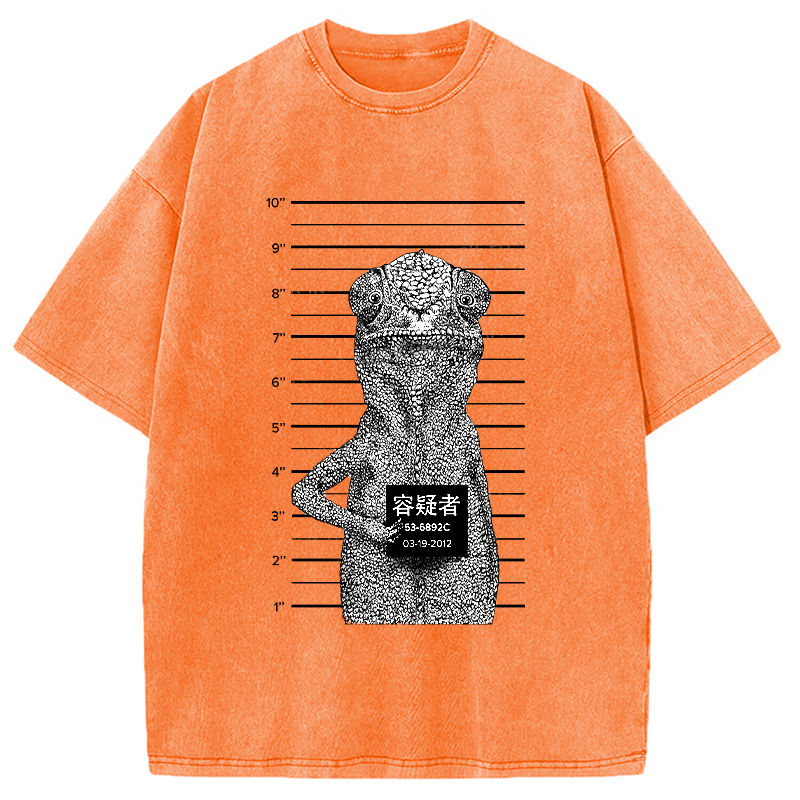 Modecanvas Suspect Lizard Washed T-Shirt