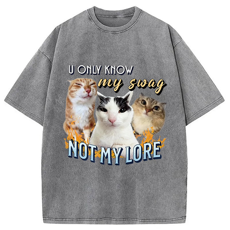 Modecanvas Funny Y2K Cat Meme DTG Printing Washed T-Shirt