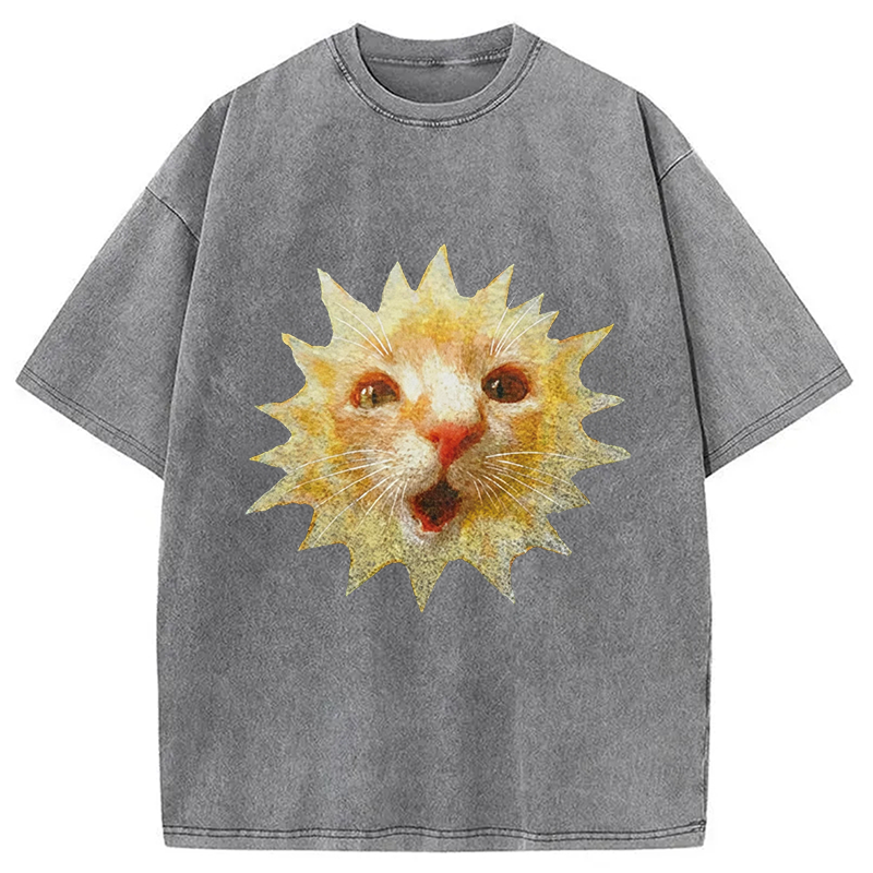 Modecanvas Sun Cat Meme DTG Printing Washed T-Shirt