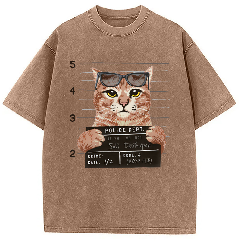 Modecanvas Cat Holding Mugshot Arrested Washed T-Shirt