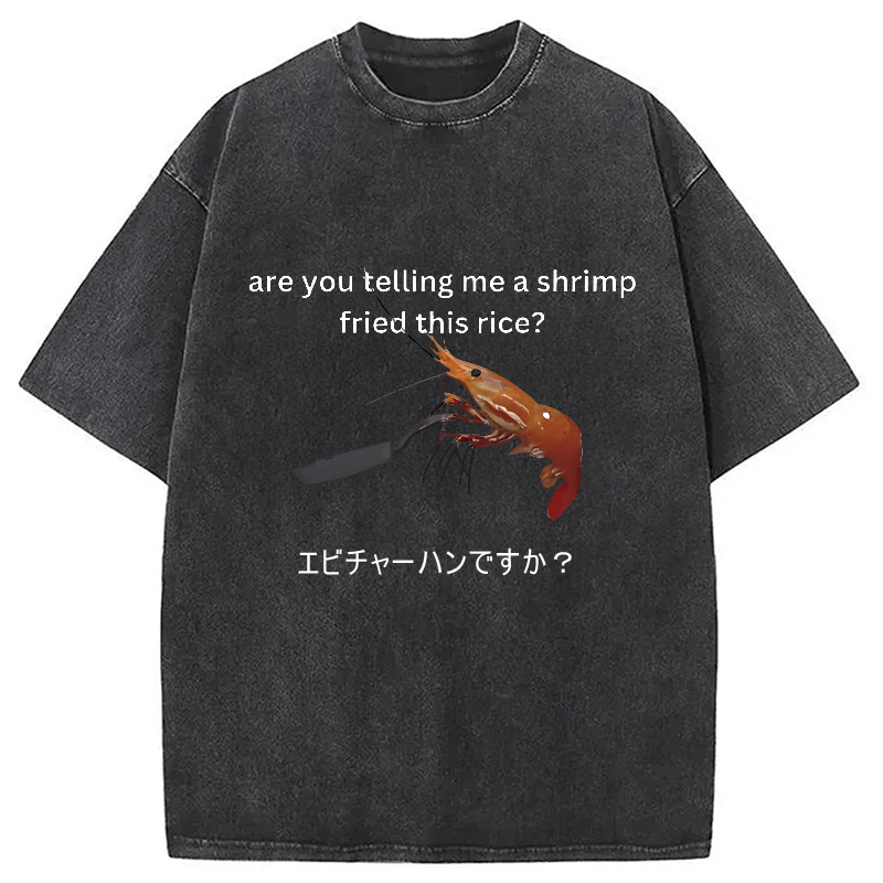 Modecanvas Are You Telling Me a Shrimp Fried This Rice Washed T-Shirt