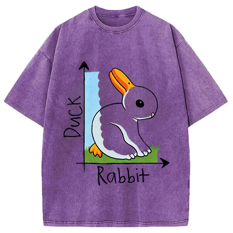 Modecanvas Duck Or Rabbit DTG Printing Washed T-Shirt