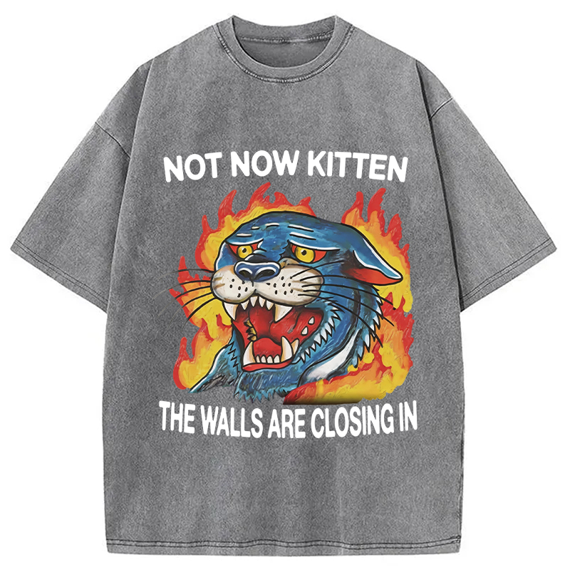 Modecanvas Not Now Kitten DTG Printing Washed T-Shirt