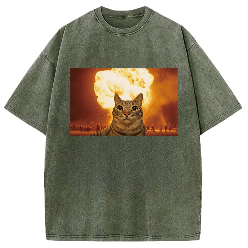 Modecanvas Cat Explosion Brain Rot DTG Printing Washed T-Shirt