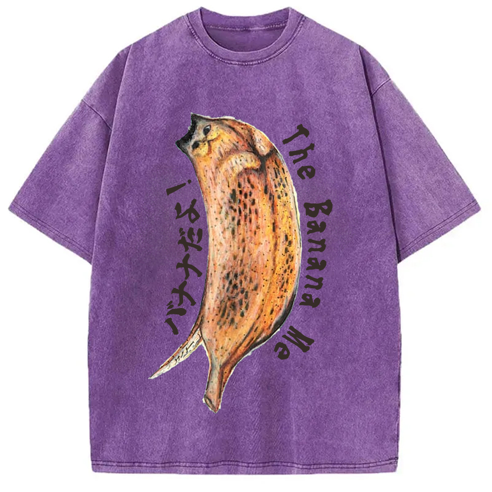 Modecanvas Banana Cat Drawing Washed T-Shirt
