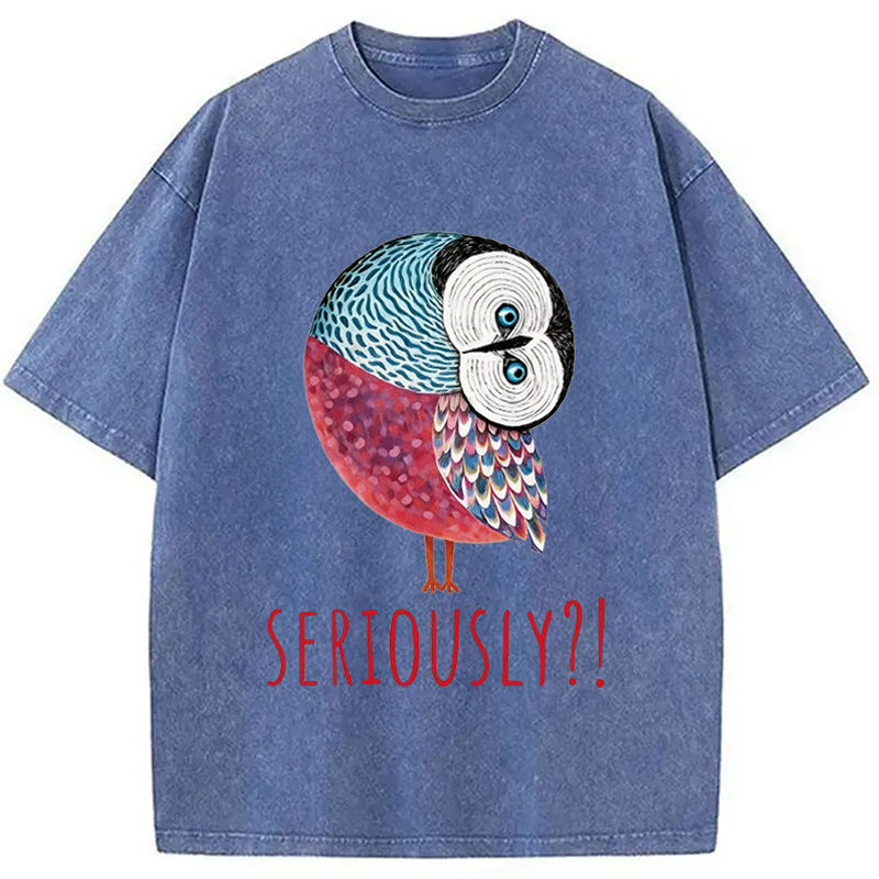 Modecanvas Seriously Art Owl DTG Printing Washed T-Shirt
