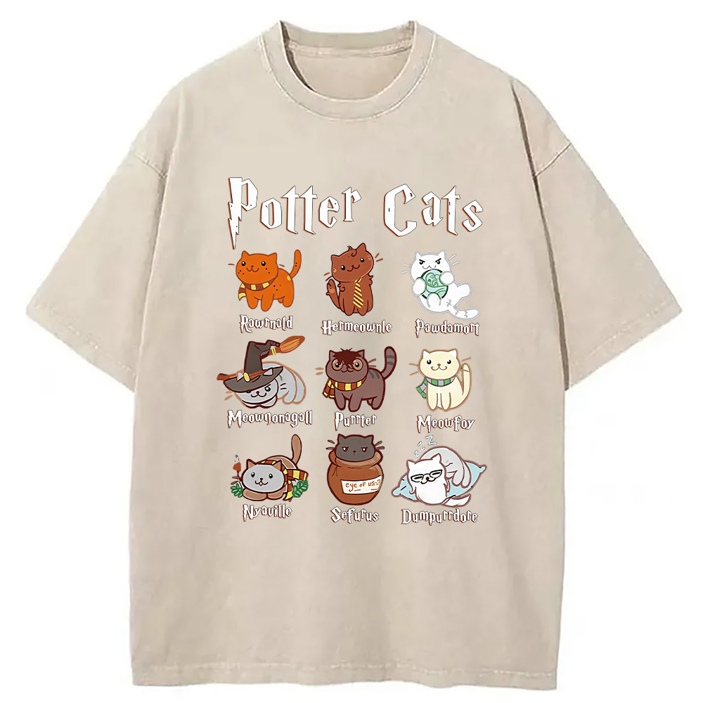 Modecanvas Wizard Cats Washed T-Shirt
