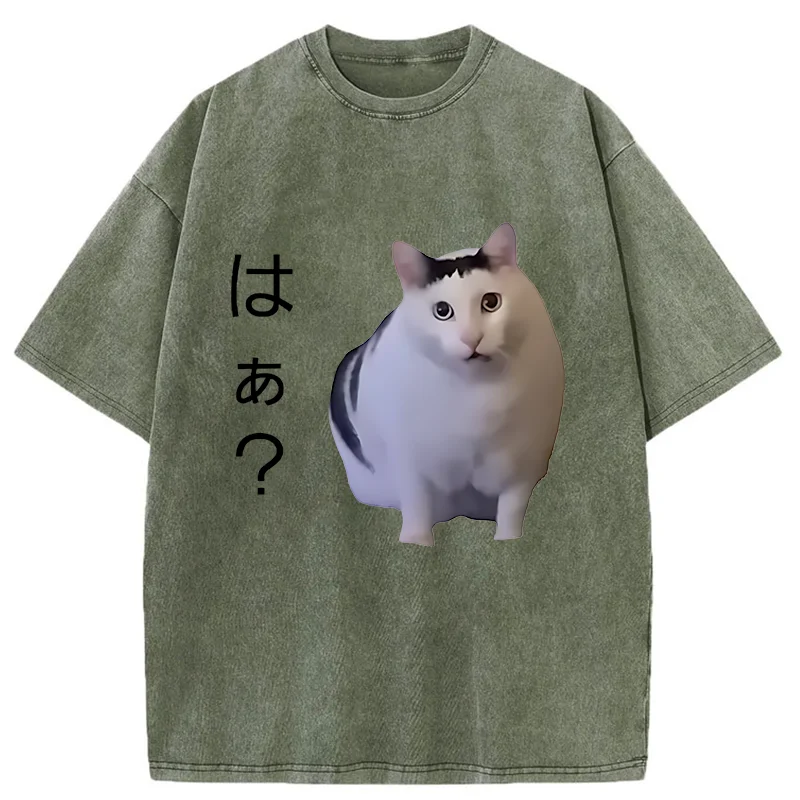 Modecanvas Suspicious Funny Cat Washed T-Shirt-modecanvas