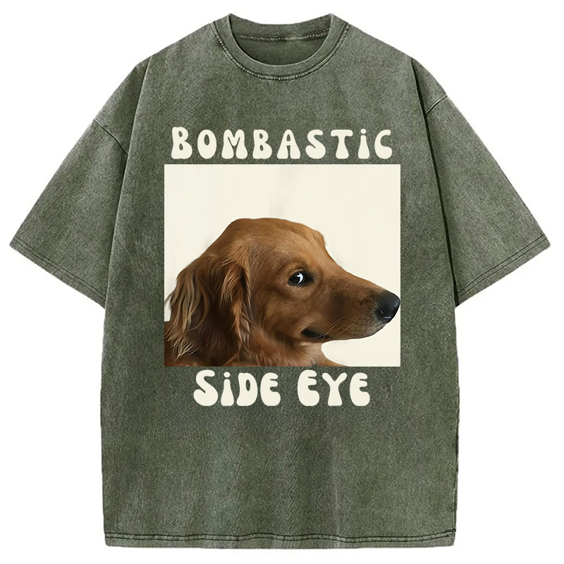 Modecanvas Bombastic Side Eye Funny Dog Meme Washed T-Shirt