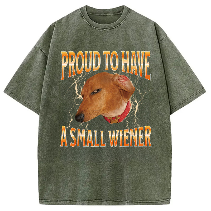 Modecanvas Funny Dog Meme Washed T-Shirt