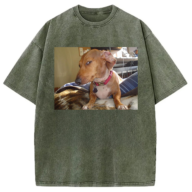 Modecanvas Side Eye Dog Meme Washed T-Shirt