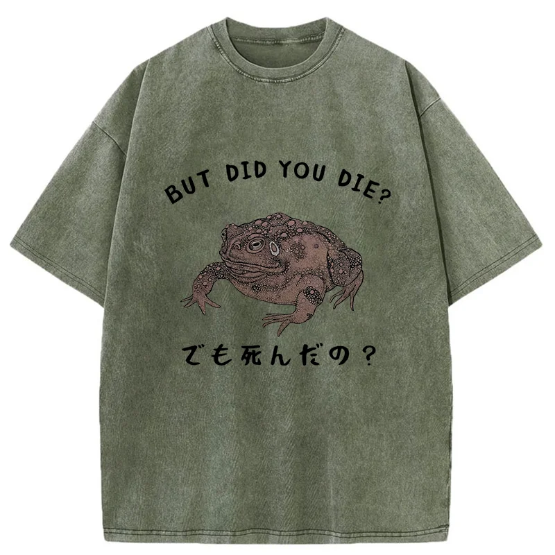 Modecanvas Question From Frog Funny Washed T-Shirt