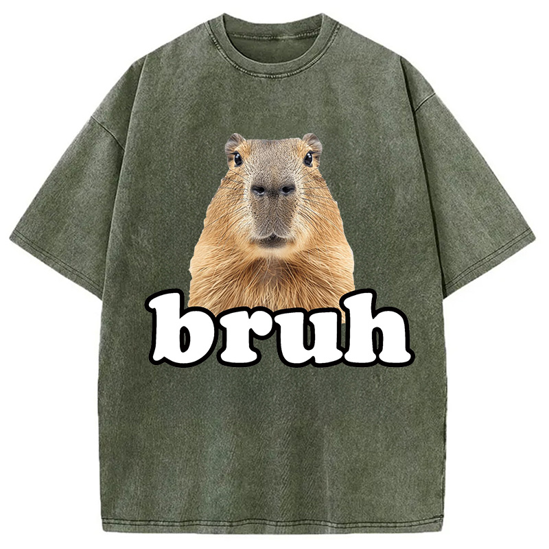 Modecanvas Bruh Capybara Washed T-Shirt