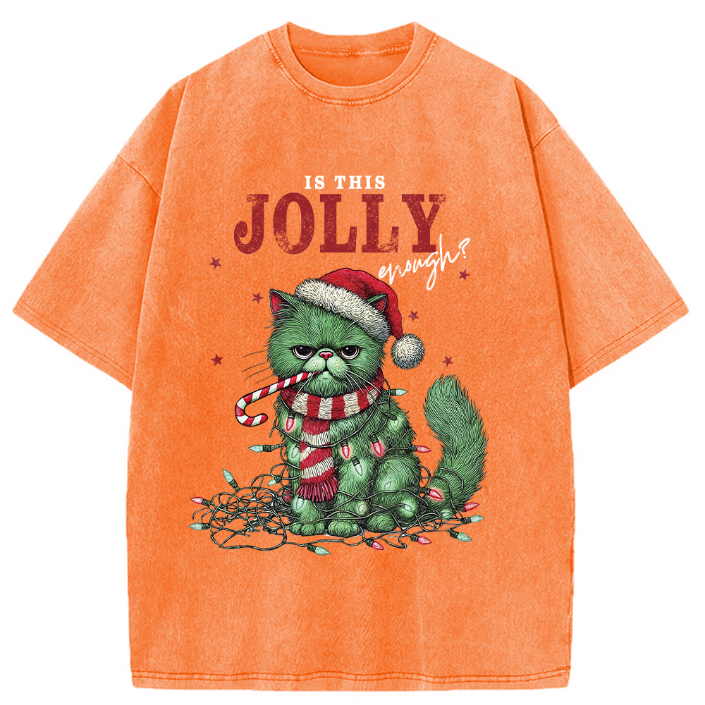 Modecanvas Christmas Gift Washed T-Shirt