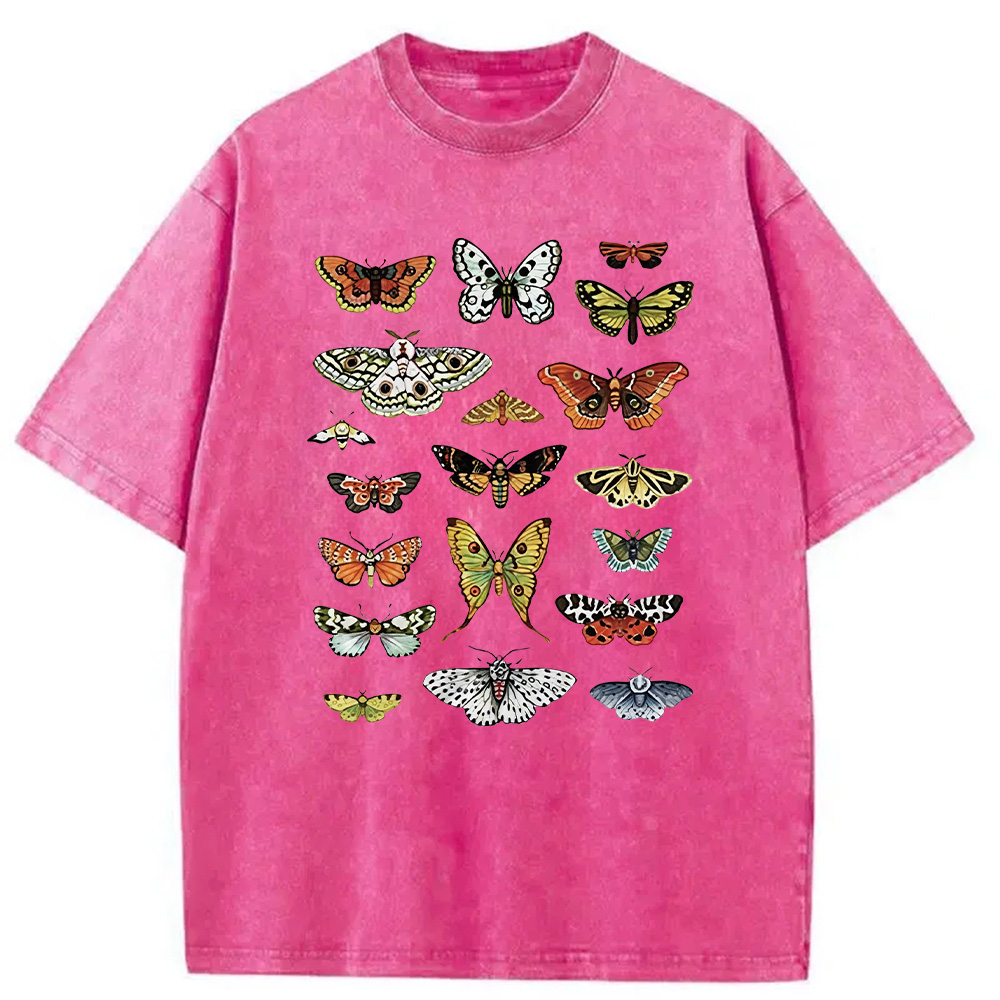 Modecanvas Butterfly History Washed T-Shirt