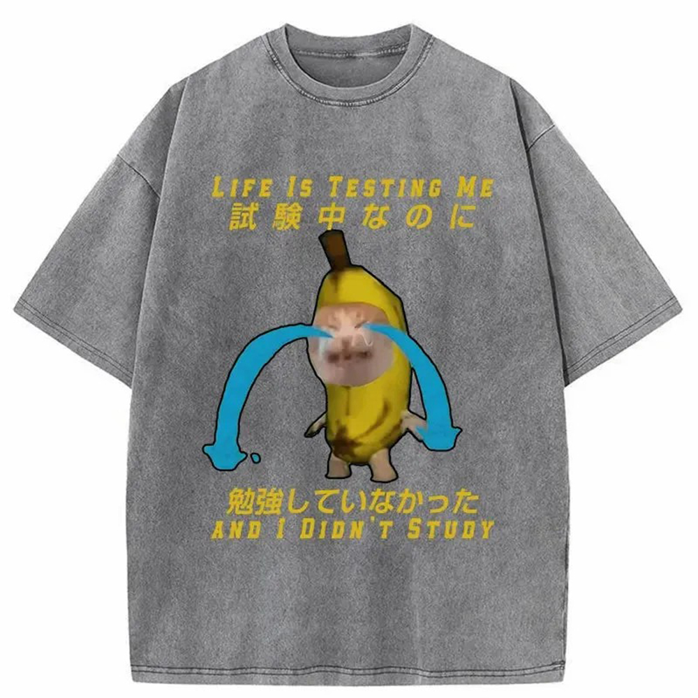 Modecanvas Cat Forced By Life Washed T-Shirt