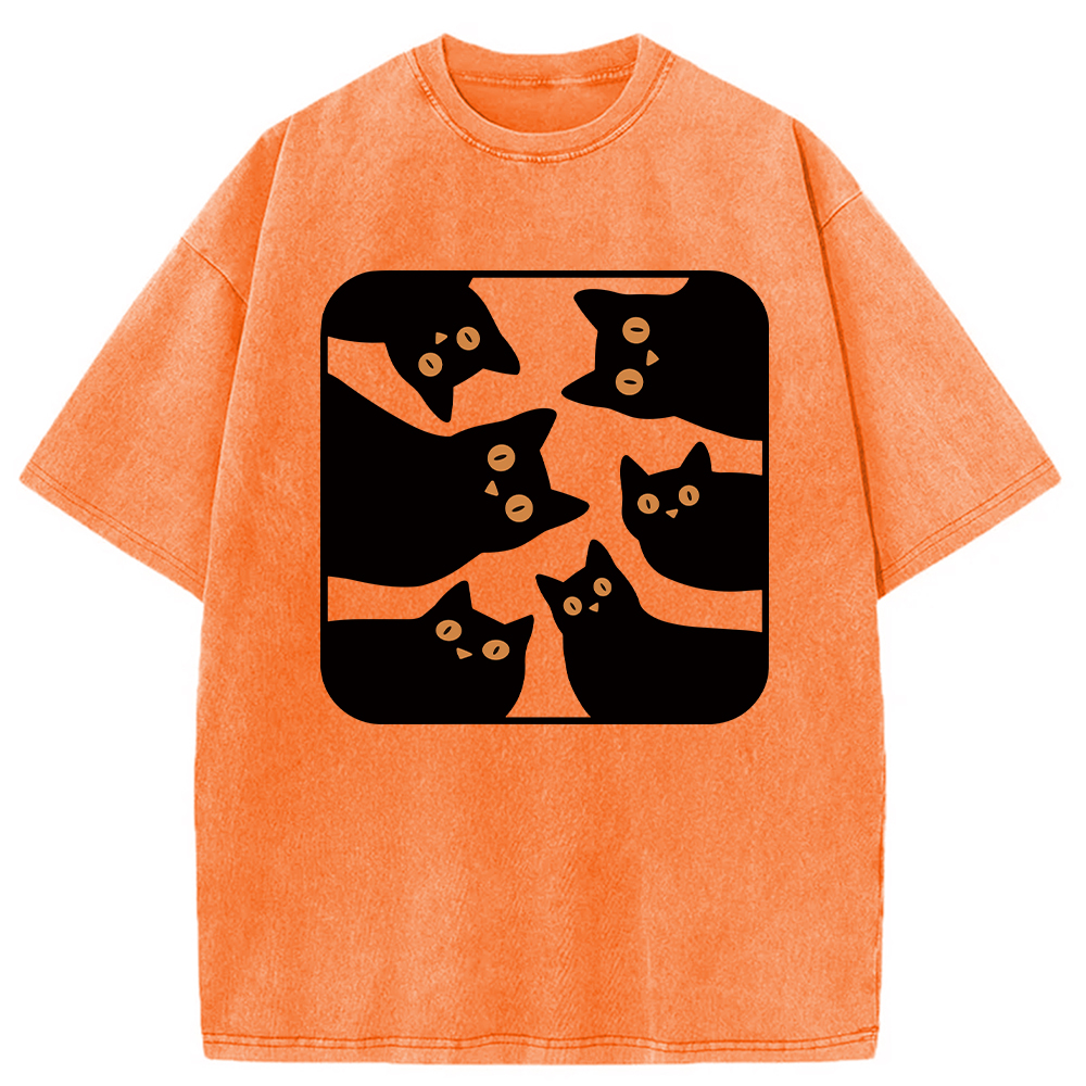 Modecanvas Cats Are Watching Washed T-Shirt
