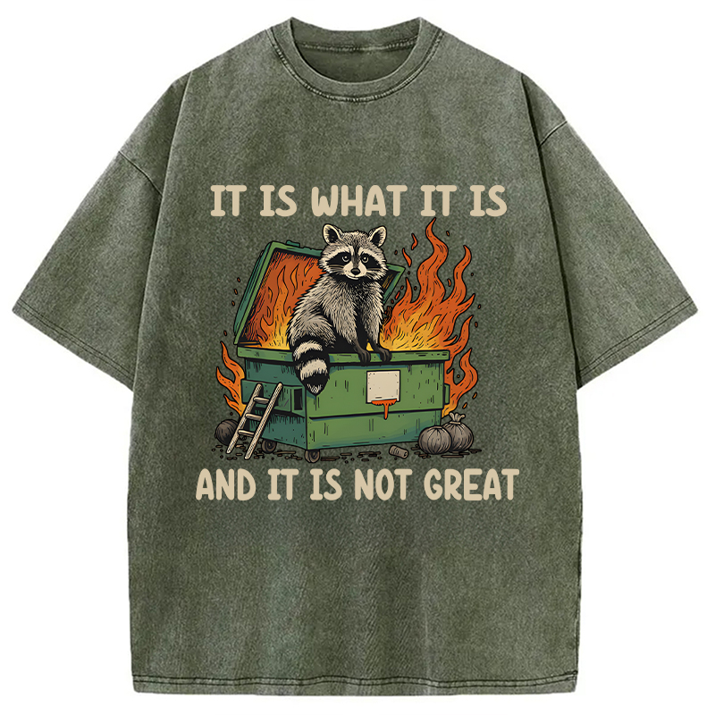 Modecanvas It Is What It Is Dumpster Fire Funny Raccoon Meme Washed T-Shirt