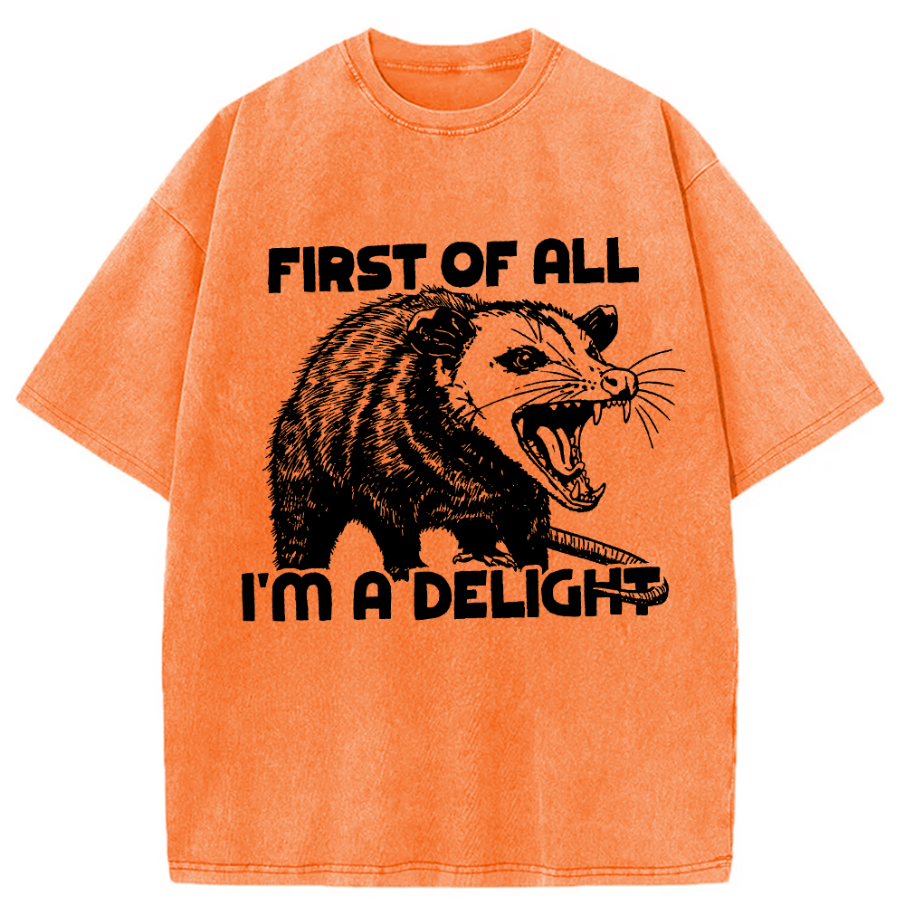 Modecanvas First of All Possum Washed T-Shirt