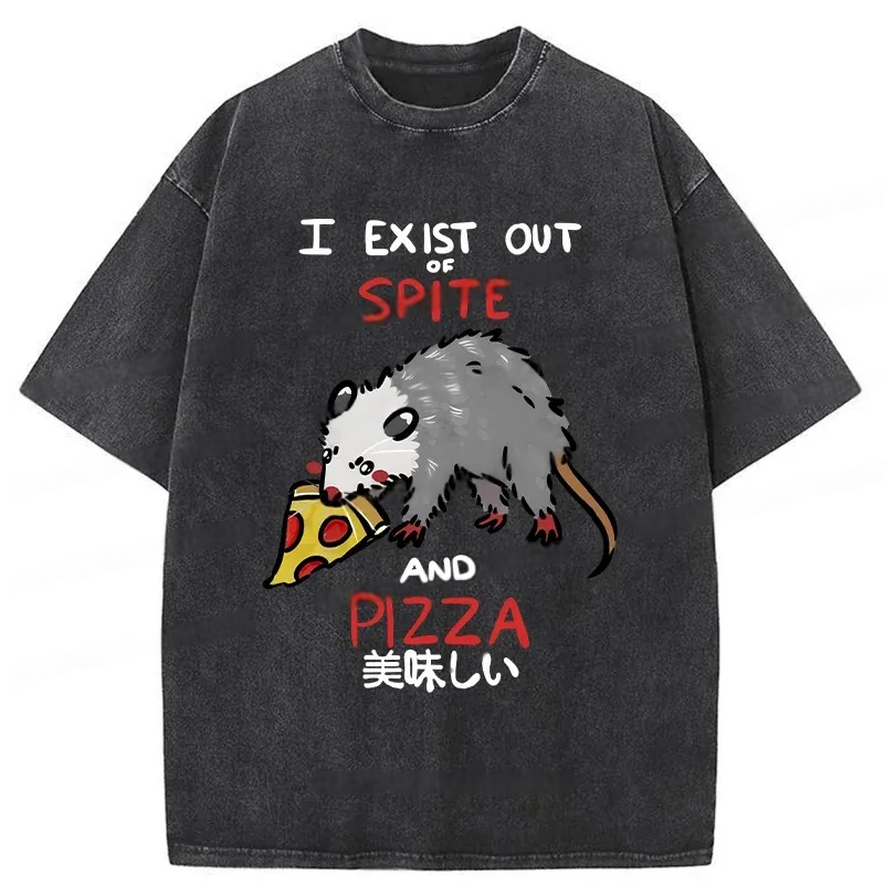 Modecanvas Delicious Pizza Japan Washed T-Shirt