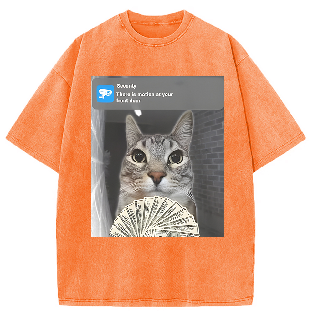 Modecanvas Ring Cat Meme Washed T-Shirt