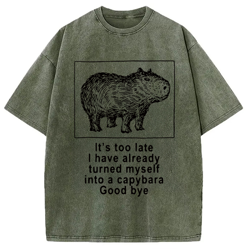 Modecanvas I Have Turned Myself Into A Capybara Washed T-Shirt-modecanvas