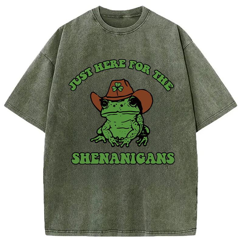Modecanvas Here for the Shenanigans Washed T-Shirt