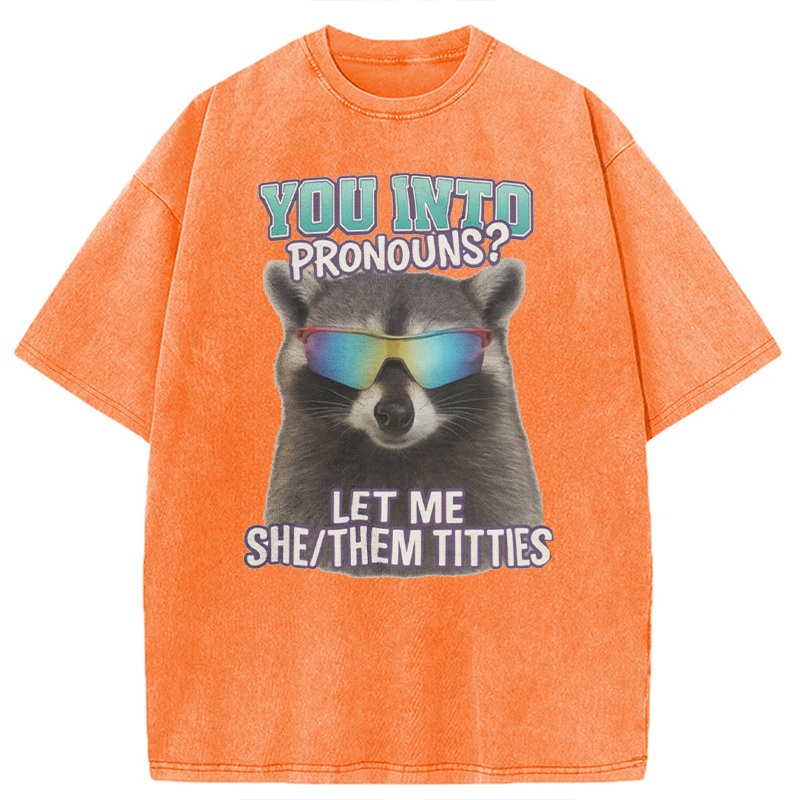 Modecanvas You Into Pronouns? Let Me She/Them Titt*es Raccoon DTG Printing Washed T-Shirt