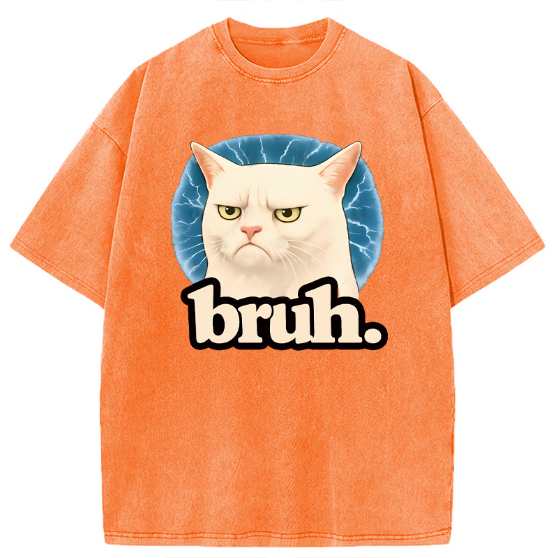 Modecanvas Bruh Cat Meme DTG Printing Washed T-Shirt