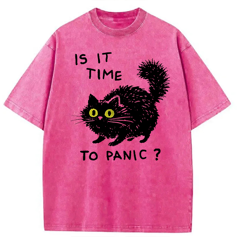 Modecanvas Is It Time to Panic Cat DTG Printing Washed T-Shirt