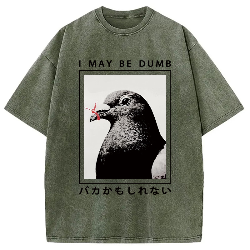 Modecanvas I May Be Dumb Funny Washed T-Shirt-modecanvas