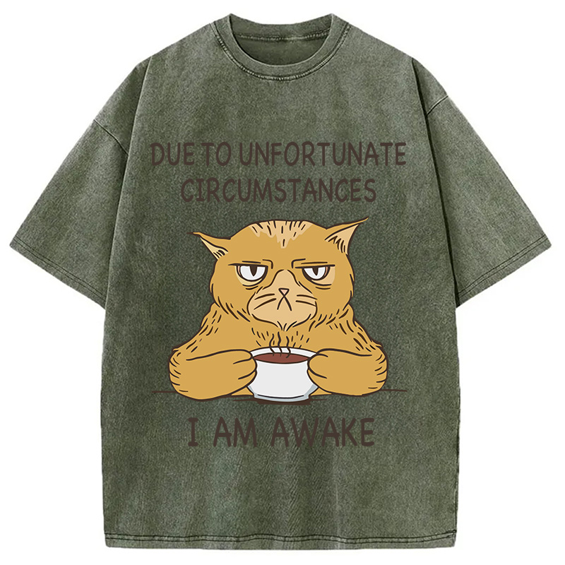 Modecanvas I Am Awake Cat Meme DTG Printing Washed T-Shirt