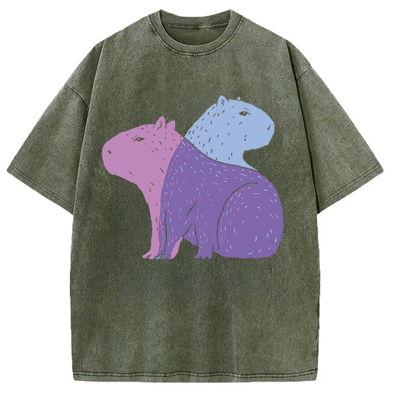 Modecanvas Double Capybaras DTG Printing Washed T-Shirt