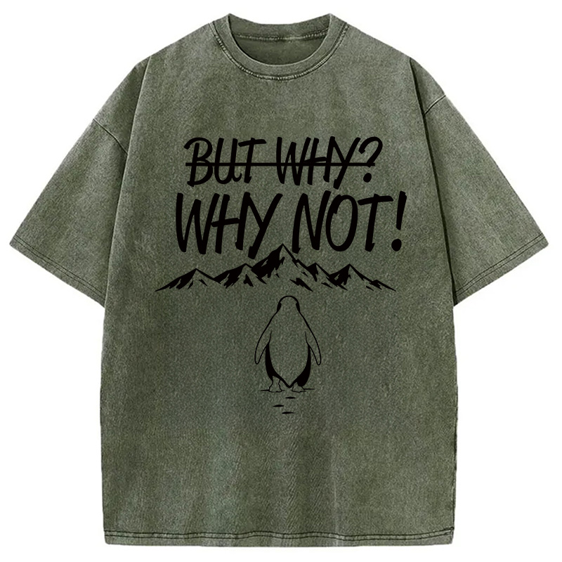 Modecanvas But Why/Why Not Penguin Meme DTG Printing Washed T-Shirt